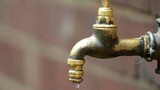 Dry taps in Durban: Residents struggle as algae outbreak chokes water supply