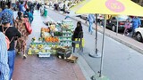Johannesburg cracks down on illegal subletting of trading stalls