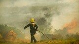 High Court ruling confirms legality of private firefighting services in South Africa