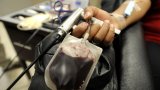 Giving is in My Blood: Calls for Blood Donations this Heritage Month