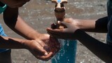 Western Cape Government intervenes to secure Knysna's water supply during festive season