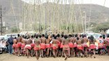 Understanding the cultural power of Umkhosi woMhlanga