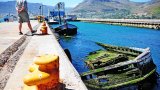 Local fishing communities seek input on Western Cape's fishing harbour renovations