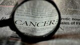 Cancer Alliance vows to continue fight despite court setback in Gauteng
