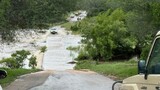 Heavy rains prompt safety shutdown at Kruger Park for day visitors
