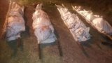 Go after the kingpins, says Macua as police investigate shooting of five men in North West
