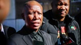 Malema skips key Parliament hearings as gun conviction sentencing looms