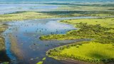 Celebrating World Conservation Day: South Africa's commitment to biodiversity
