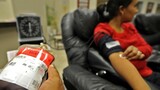 Call from SANBS for blood donations as stocks fall after festive season