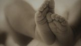 Wesbank family finds foetus in place of chicken meat