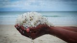 Citizen scientists go global in October