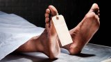 Body found floating tied down with 5kg bag of stones, body parts removed