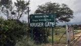 Tourism and politics collide in Kruger National Park renaming proposal