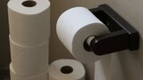 Labour Court reinstates employee dismissed for toilet paper theft