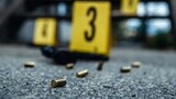 Bodies of three Eastern Cape men found with gunshot wounds outside Butterworth