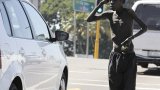 The unintended consequences of feeding vagrants in Musgrave