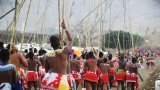 eThekwini Municipality invests R900,000 in the upcoming Reed Dance ceremony