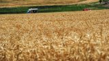 Bunge-Viterra merger could cost farmers and consumers $2. 5bn a year
