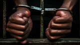 Human trafficking: Ten half-naked teenage boys rescued in Johannesburg, foreign national arrested