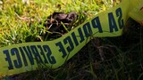 Police hunt killers of KZN granny, 75