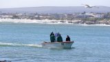 DFFE extends fishing permits amid court review delays