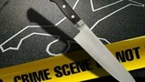 Grade 11 learner stabbed to death during break at Mpumalanga school