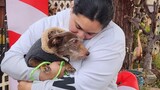 Lost for years, found miles away: microchipped dog reunites with owner after cross-country journey