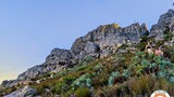 WATCH: WSAR conducts multiple mountain rescues amid summer heatwave in Cape Peninsula
