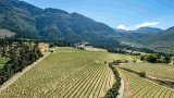 Two guests injured in panga attack at Chamonix Wine Farm in Franschhoek