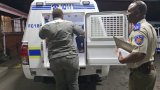 KZN' s Alufakwa campaign: Rising arrests of women for drunk driving