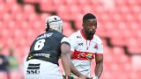 Purring Lions resist urge to tinker with starting line-up to face Griquas