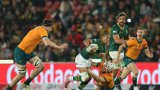 Springbok men and women gear up for pivotal rugby clashes