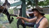 She built a sanctuary for monkeys. It’s now a haven for veterans with PTSD