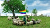 Michael Schmidt's groundbreaking collection: fashion from the wool of gay sheep
