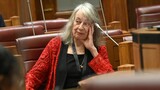 Mary de Haas refuses to disclose sources to parliamentary inquiry
