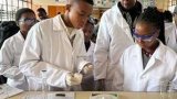 From curiosity to capability: Learners gain confidence in science and technology