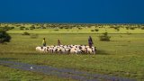 Land Grabs Threaten Peace in Somaliland