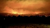 Devastating bushfires in Australia: Scores of homes razed, one dead