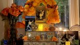 Honouring pets on Day of the Dead: a personal journey