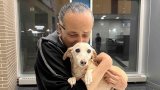 The heartwarming reunion of a blind man's missing support dog in Chicago