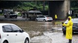 eThekwini Municipality's disaster management under scrutiny: Key concerns raised by Cogta