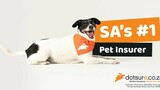 dotsure. co. za: The pet insurer that cares the most