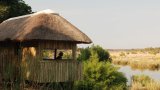 Experience South Africa’s wild side at Skukuza Safari Lodge and Buffalo Rock
