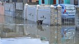 Flooding crisis in Gugulethu: Residents call for urgent assistance