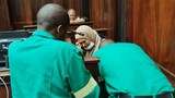 Zurenah Smit trial: Alleged husband-killer's breakdown delays proceedings until 2026