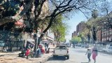 No confidence in Mayor Morero to keep Johannesburg clean after G20, say residents and officials