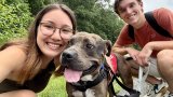 The rise of ‘dog lending’ - good for people, great for pets