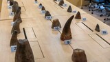 Singapore seizes record rhino horn haul from South Africa