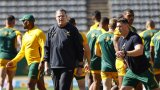 Wallabies versus Lions finale in Sydney will provide Springboks coach Rassie Erasmus with priceless information