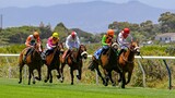 Cape Town's summer horse racing season kicks off with the Cape Punters Cup